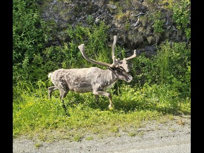 20250705_132354 - Kopie.jpg